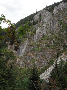 Gier-Grimpe, P8172854