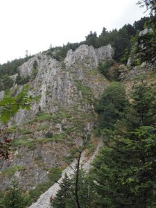 Gier-Grimpe, P8172855