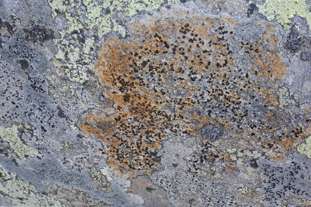 2020-07-27-08-02-grand-paradis, 2020-07-28-alpes-aventure-ecole-de-glace-07
