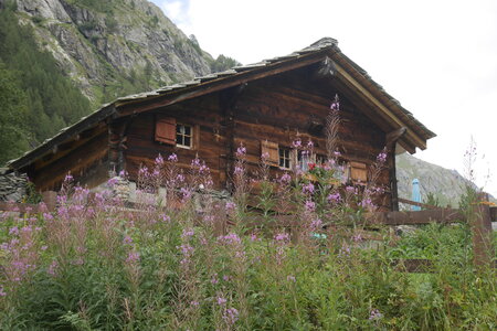 2020-08-10-13-arolla, 2020-08-13-alpes-aventure-tete-blanche-40
