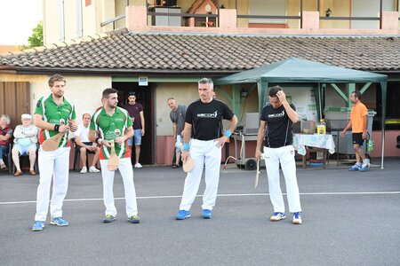 Défi platanes 2019, DSC_1695-comp