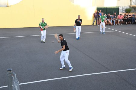 Défi platanes 2019, DSC_1715-comp