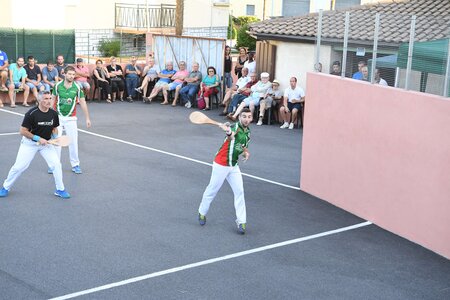 Défi platanes 2019, DSC_1743-comp