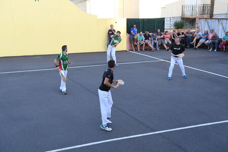 Défi platanes 2019, DSC_1794-comp