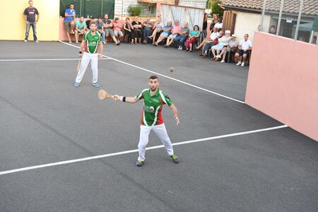 Défi platanes 2019, DSC_1809-comp