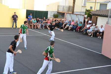 Défi platanes 2019, DSC_1816-comp