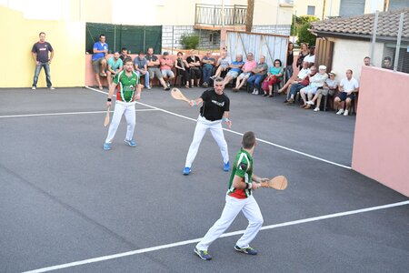 Défi platanes 2019, DSC_1850-comp