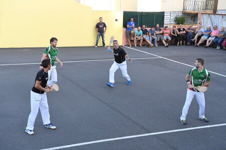Défi platanes 2019, DSC_1862-comp