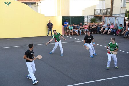 Défi platanes 2019, DSC_1870-comp