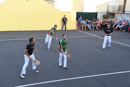 Défi platanes 2019, DSC_1887-comp