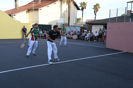 Défi platanes 2019, DSC_1898-comp