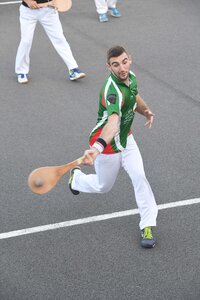 Défi platanes 2019, DSC_1922-comp