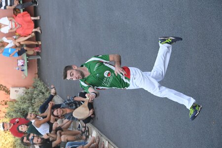 Défi platanes 2019, DSC_2003-comp