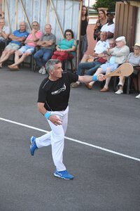 Défi platanes 2019, DSC_2013-comp