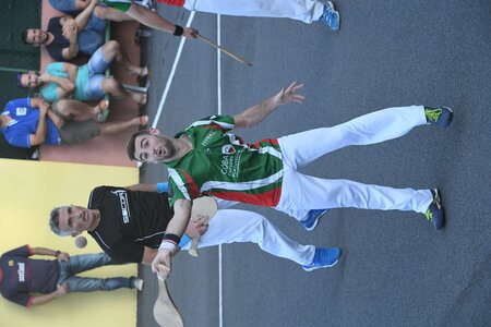 Défi platanes 2019, DSC_2051-comp