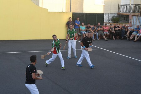 Défi platanes 2019, DSC_2066-comp