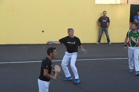 Défi platanes 2019, DSC_2072-comp