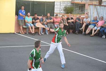Défi platanes 2019, DSC_2078-comp