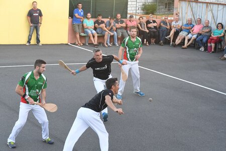 Défi platanes 2019, DSC_2083-comp