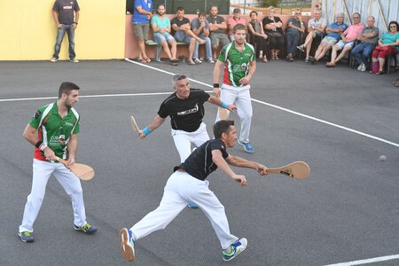 Défi platanes 2019, DSC_2084-comp
