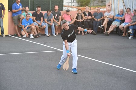 Défi platanes 2019, DSC_2165-comp
