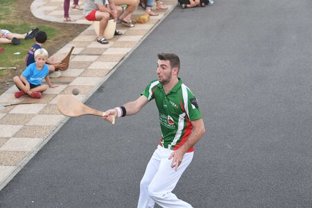 Défi platanes 2019, DSC_2172-comp