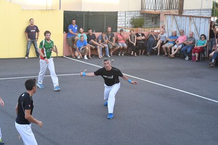 Défi platanes 2019, DSC_2183-comp