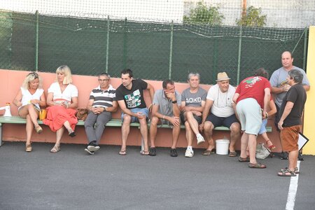 Défi platanes 2019, DSC_2195-comp