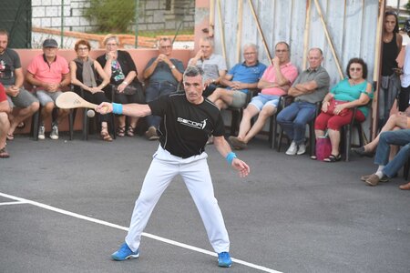 Défi platanes 2019, DSC_2201-comp
