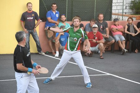 Défi platanes 2019, DSC_2207-comp