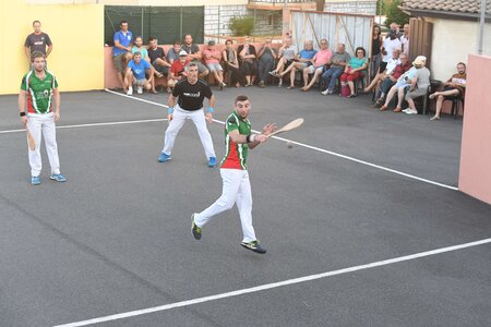 Défi platanes 2019, DSC_2221-comp