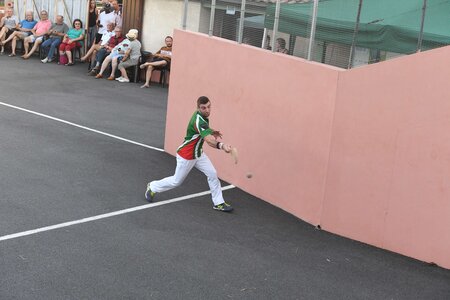 Défi platanes 2019, DSC_2229-comp