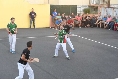 Défi platanes 2019, DSC_2234-comp
