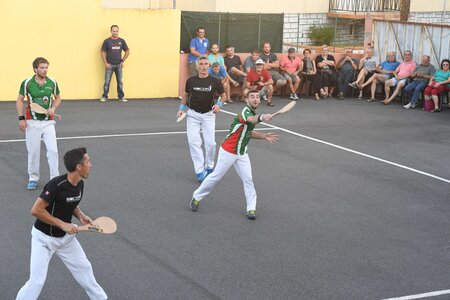 Défi platanes 2019, DSC_2237-comp