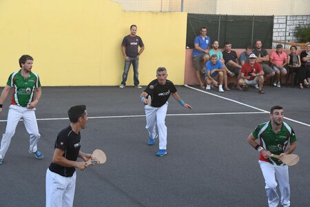 Défi platanes 2019, DSC_2244-comp