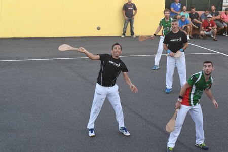 Défi platanes 2019, DSC_2248-comp