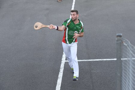 Défi platanes 2019, DSC_2255-comp