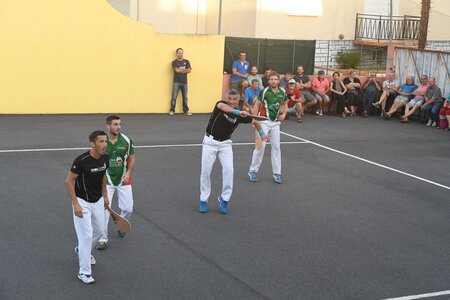 Défi platanes 2019, DSC_2260-comp