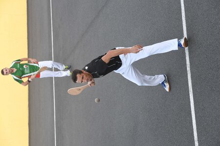 Défi platanes 2019, DSC_2272-comp