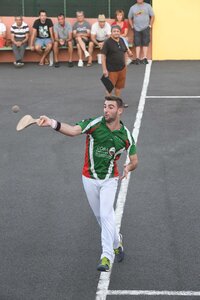 Défi platanes 2019, DSC_2283-comp
