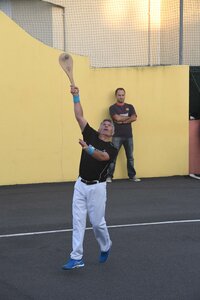 Défi platanes 2019, DSC_2299-comp