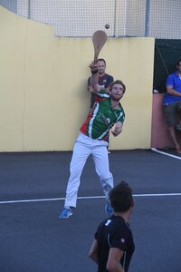 Défi platanes 2019, DSC_2326-comp