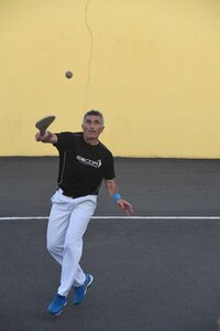 Défi platanes 2019, DSC_2356-comp