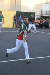 Défi platanes 2019, DSC_2387-comp