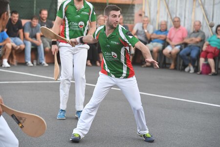 Défi platanes 2019, DSC_2428-comp