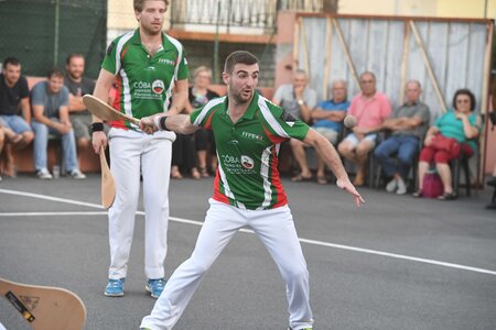 Défi platanes 2019, DSC_2429-comp