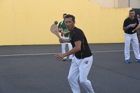 Défi platanes 2019, DSC_2457-comp