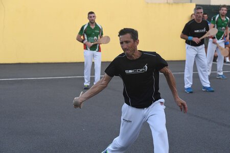 Défi platanes 2019, DSC_2461-comp