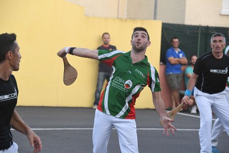 Défi platanes 2019, DSC_2470-comp