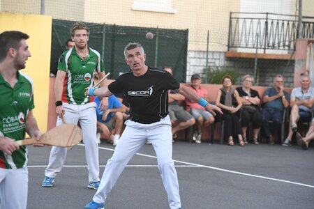 Défi platanes 2019, DSC_2475-comp